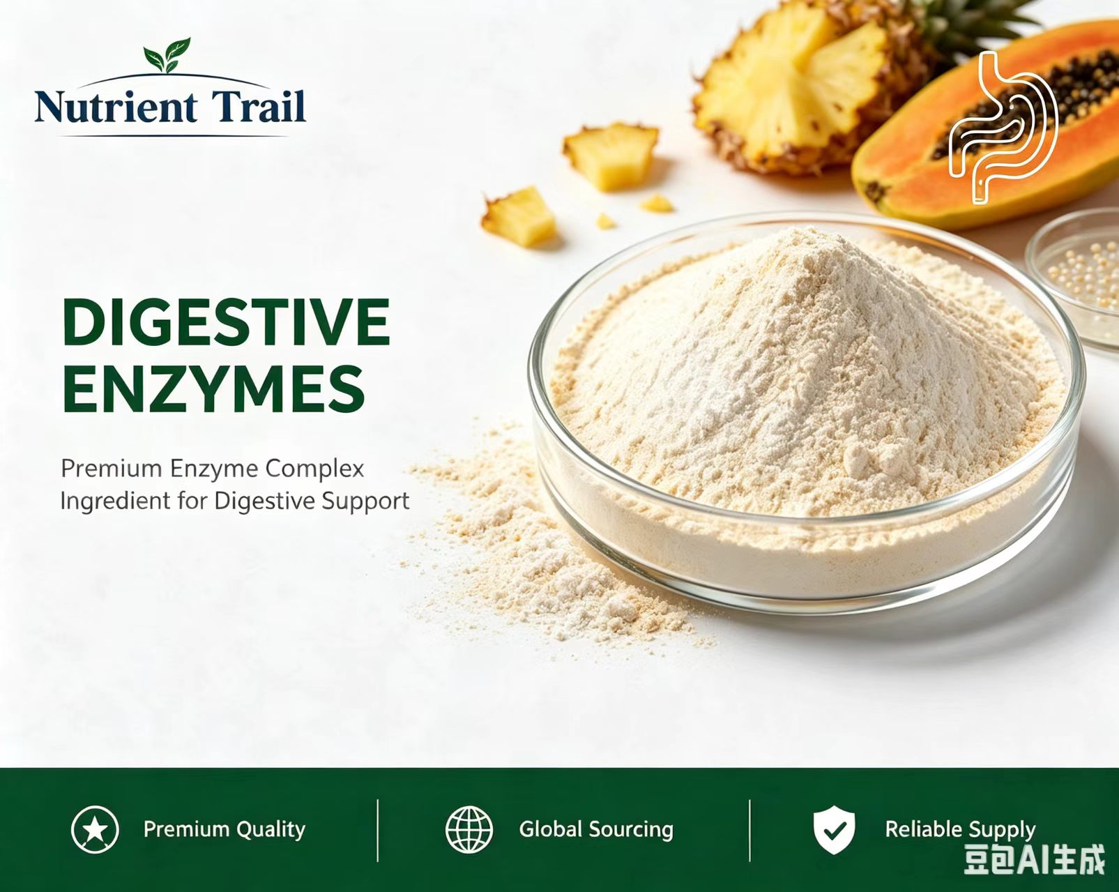 Digestive Enzymes